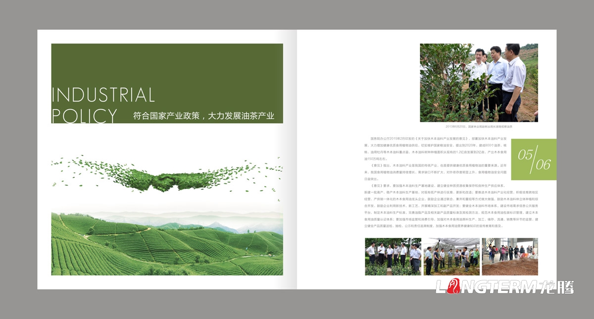 东方乌蒙企业形象画册设计|茶油产业基地宣传册设计|乡村生态旅游宣传画册设计