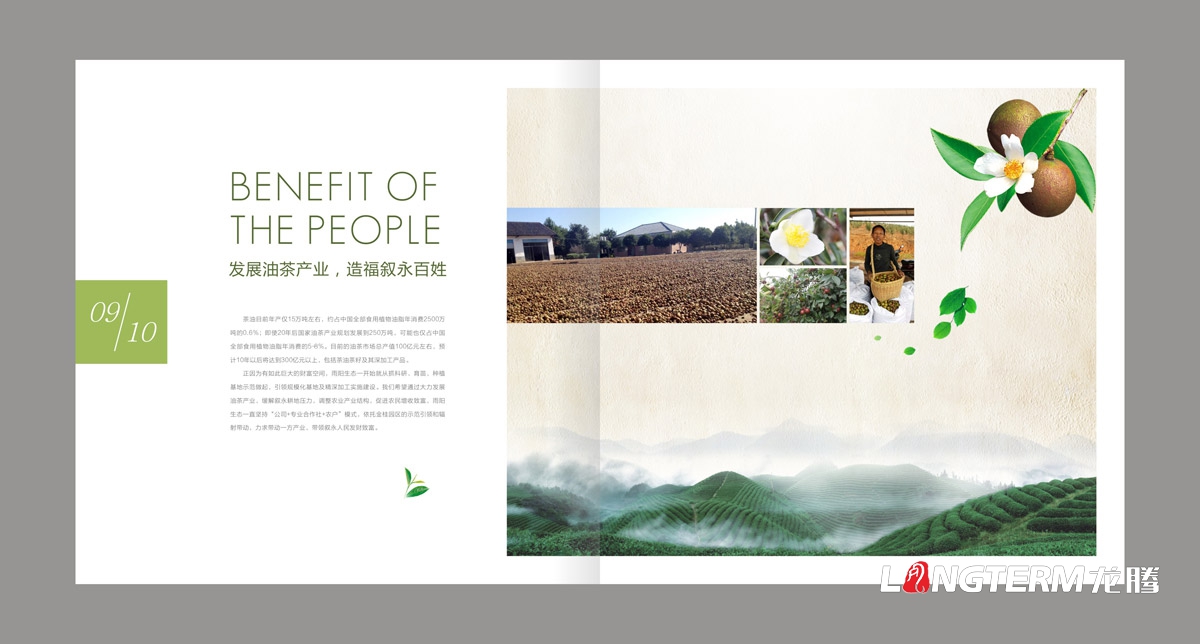 东方乌蒙企业形象画册设计|茶油产业基地宣传册设计|乡村生态旅游宣传画册设计