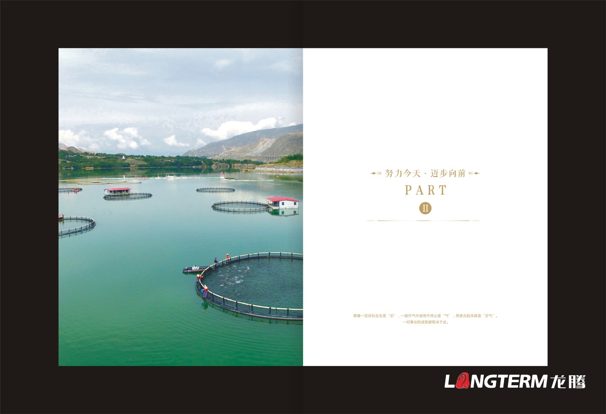 青海联合水产集团画册设计|生鲜水产公司宣传册设计印刷制作